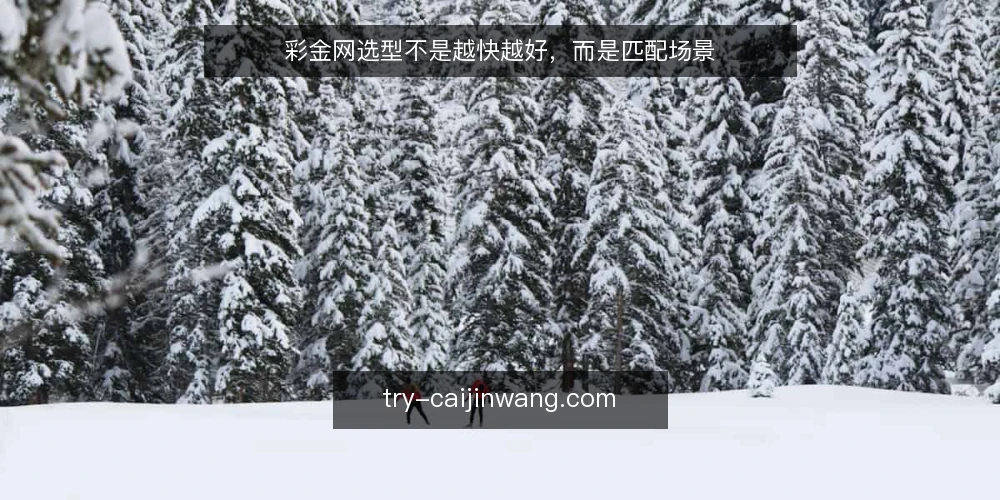 彩金网选型不是越快越好,而是匹配场景 — 明确需求边界:先定义彩金网要解决什么问题 配图
