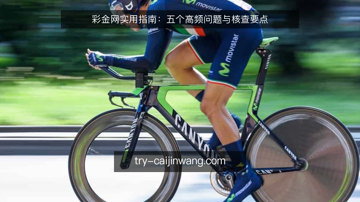 彩金网实用指南:五个高频问题与核查要点