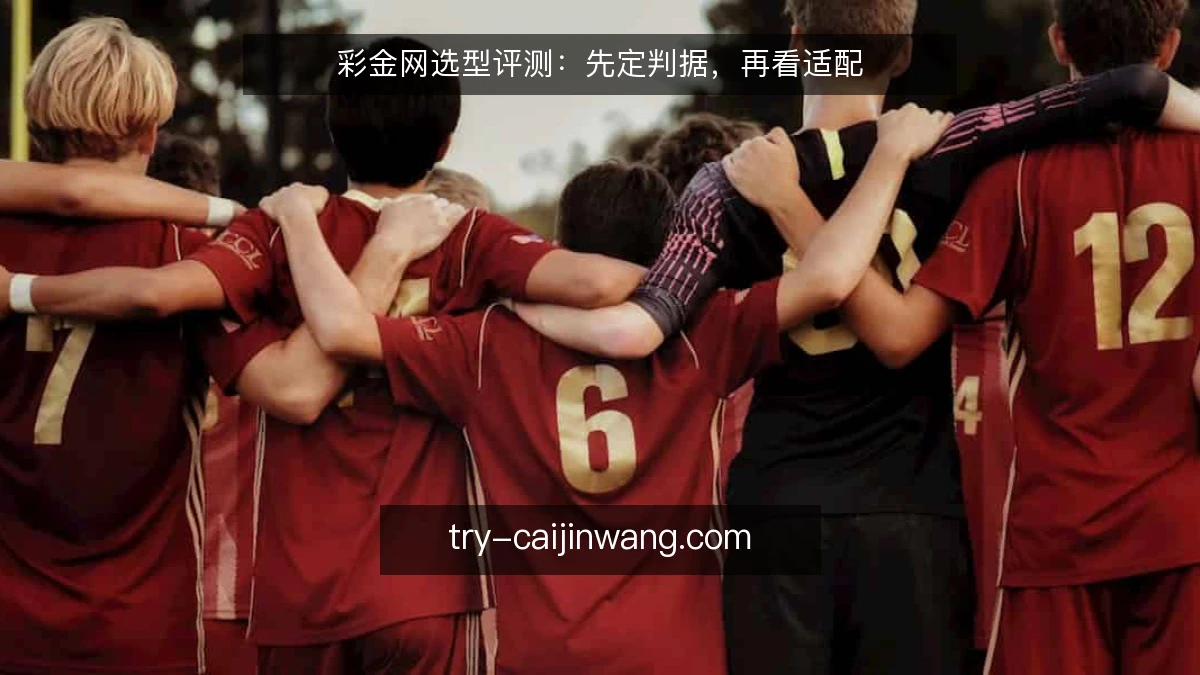 彩金网选型评测:先定判据,再看适配