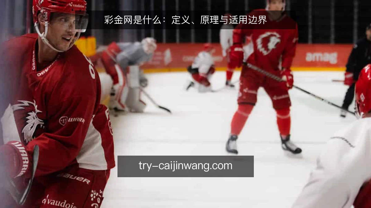 彩金网是什么：定义、原理与适用边界