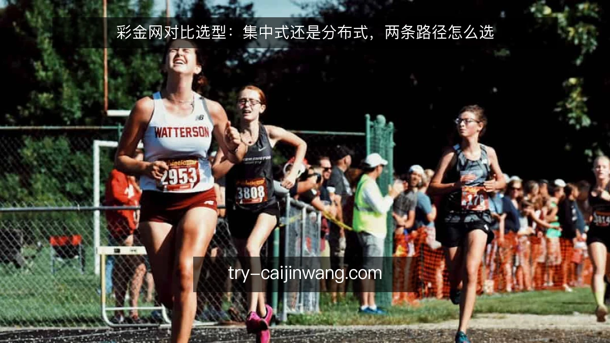 彩金网对比选型：集中式还是分布式，两条路径怎么选