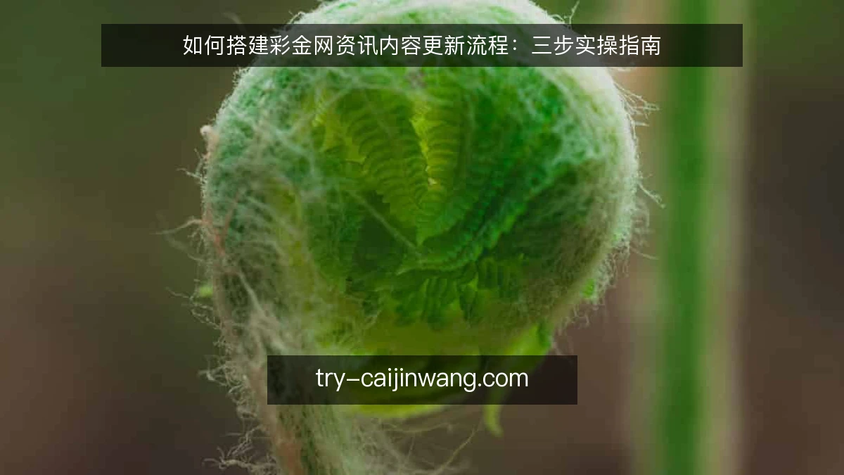 如何搭建彩金网资讯内容更新流程:三步实操指南