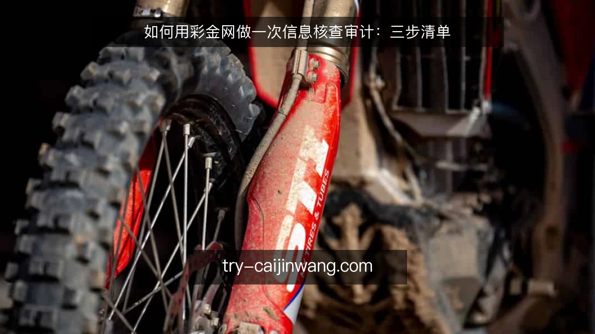 如何用彩金网做一次信息核查审计:三步清单